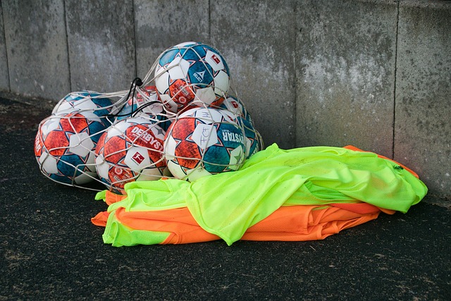 年长的拳手 年长的拳手