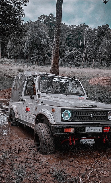 体育教育的 体育教育的