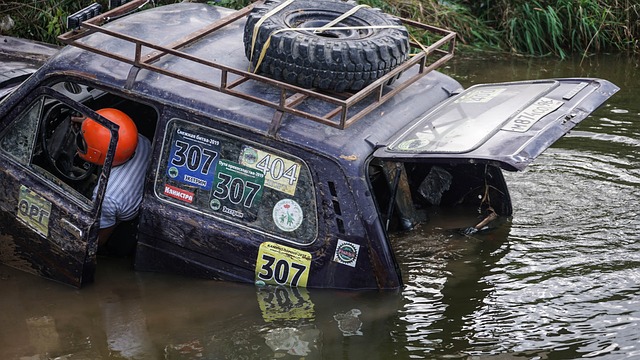 她的职业生 她的职业生