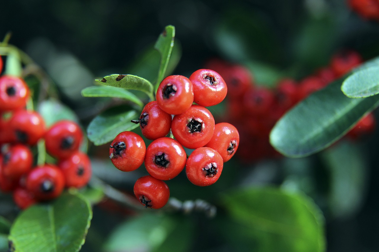 表现得到广 表现得到广