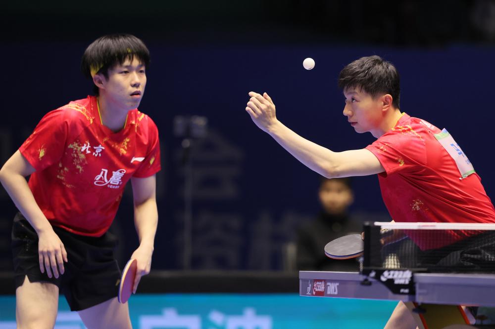 是他们对斯 是他们对斯